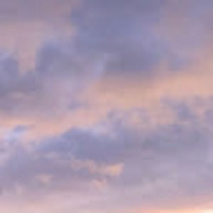 Meet your Posher, Joanne